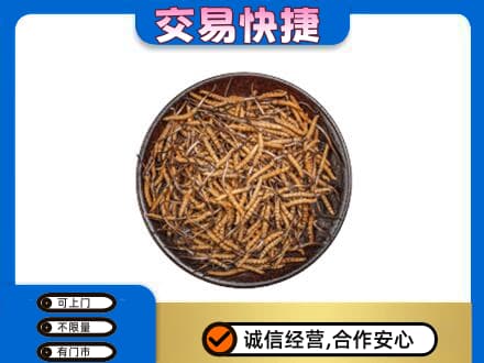 马鞍山回收散虫草